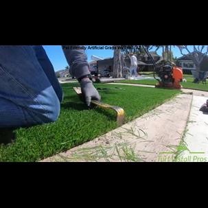 Pet Friendly Artificial Grass Waddell Arizona